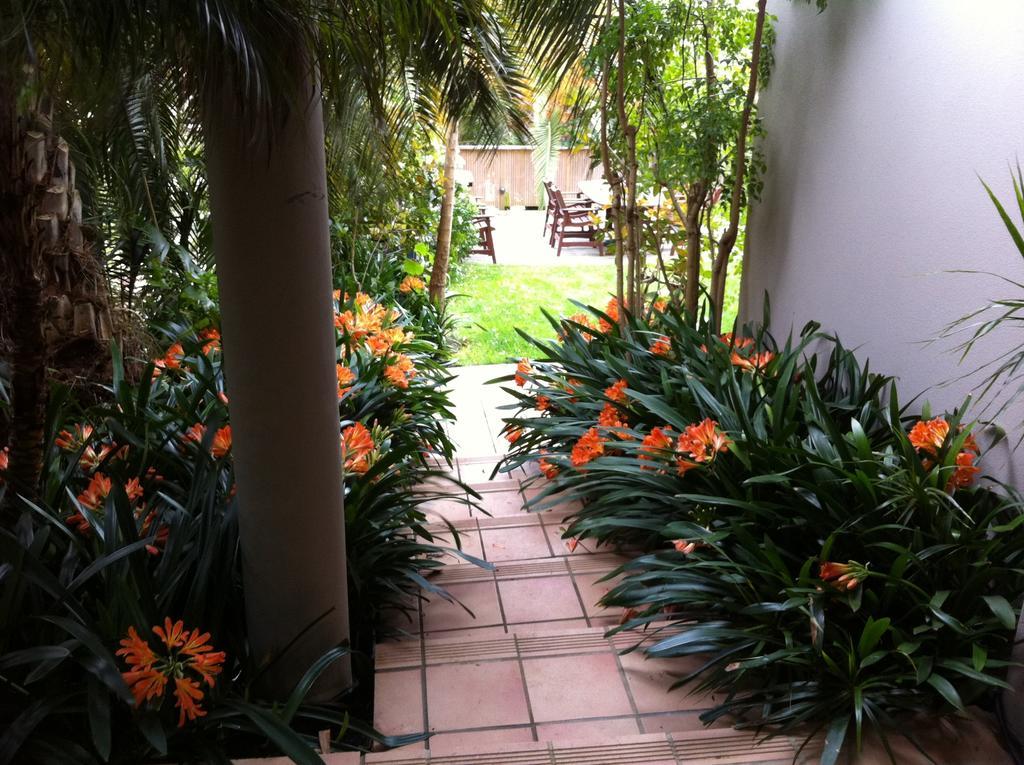 Palm Garden Apartment Auckland Esterno foto